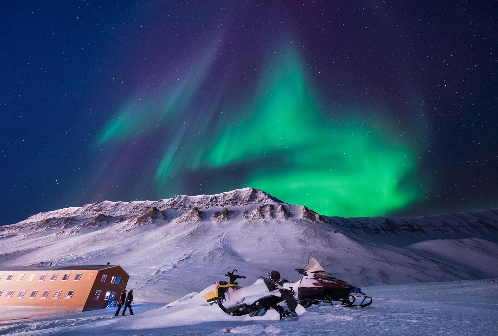 mt-sample-background