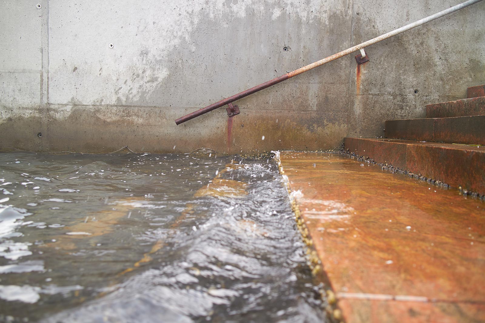 mt-sample-background